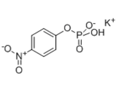 1, 3-O-Benzylidene-D-arabitol, CAS:70831-50-4