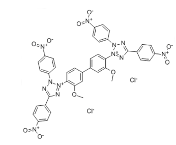 1, 2:3, 4-Di-O-isopropylidene-6-O-tosyl-a-D-galactopyranose, CAS:4478-43-7