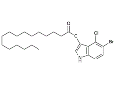 Globotriaosylceramide, Gb3