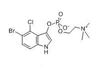 Tetra-O-acetyl-a-D-xylopyranose, CAS:4257-98-1