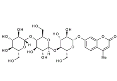 D-Cellohexoseeicosaacetate