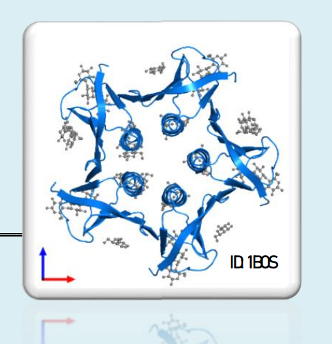 Shiga Toxin 1, B subunit - STxB