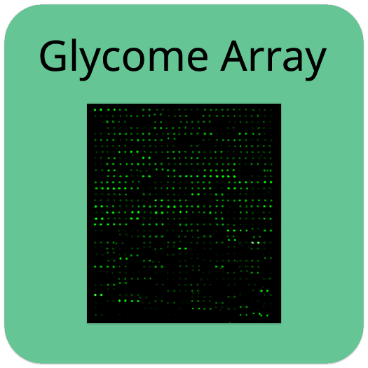 Human Glycosylation Array 2000
