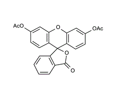 Fluoresceindiacetate-3,6-Diacetoxyfluoran-Di-O-acetylfluorescein