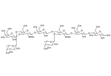 Difucosyl-para-lacto-N-hexaose II , DFpLNH II; Dimeric Lewis a-Lewis x octasaccharide linear