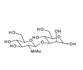 GlcNAc-b-1, 6-Gal ; 6-O-(2-Acetamido-2-deoxy-b-D-glucopyranosyl)-D-galactopyranose