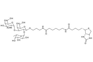 Fuc-(a1, 2)-Gal; 2-O-(a-L-Fucopyranosyl)-D-galactopyranose; H-Disaccharide; 2-O-(6-Deoxyhexopyranosyl)Hexopyranose ; Blood Group H disaccharide
