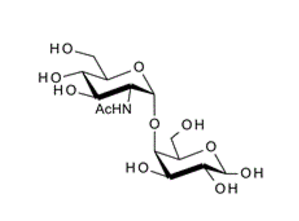 4-O-(2-Acetamido-2-deoxy-a-D-glucopyranosyl)-D-galactopyranose,