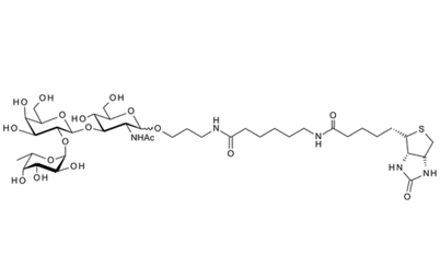 Fuca1-2Galb1-4GlcNAc-b-1-O(CH2)3NHCO(CH2)5NH-biotin ; Blood Group H type II trisaccharide,  spacer-biotin conjugate
