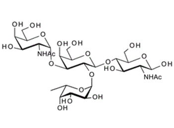 GalNAca-3(fuca-2)Galb-4GlcNAc ; Blood Group A tetrasaccharide type II