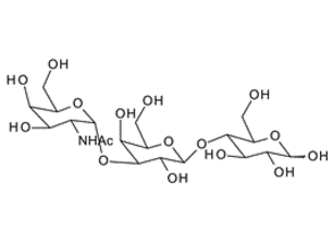 a-D-N-Acetylgalactosaminyl-1, 3-galactosyl-b-1, 4-glucose
