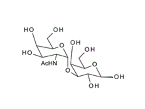 a-D-N-Acetylgalactosaminyl 1, 3 galactose; GalNAc-a1, 3-Gal ; 3-O-(2-Acetamido-2-deoxy-a-D-galactopyranosyl)-D-galactopyranose