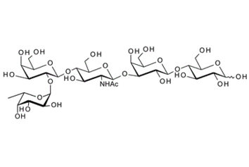 Fuca-2Galb-4GlcNAcb-3Galb-4Glc ; Blood group H pentaose type II
