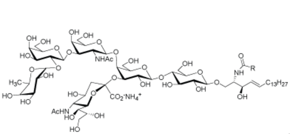 Fucosyl-GM1 ganglioside ,  Fucosylated monosialoganglioside GM1