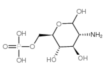 D-Glucosamine 6-phosphate, GLCN-6-p, CAS:3616-42-0