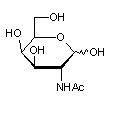 2-Acetamido-2-deoxy-D-galactopyranose, N-Acetyl-D-galactosamine, GalNAc, CAS:14215-68-0