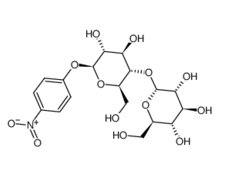 4-Nitrophenyl-beta-D-maltopyranoside