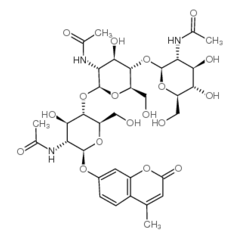 4-Methylumbelliferyl-N,N',N''-triacetyl-beta-chitotrioside