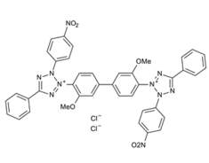 NitrotetrazoliumBluechloride