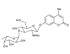 4-Methylumbelliferyl2-acetamido-2-deoxy-3-O-(a-L-fucopyranosyl)-b-D-glucopyranoside