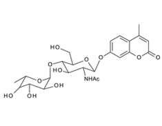 4-Methylumbelliferyl2-acetamido-2-deoxy-4-O-(a-L-fucopyranosyl)-b-D-glucopyranoside