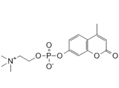 4-MethylumbelliferylPhosphocholine
