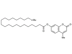 4-METHYLUMBELLIFERYLLIGNOCERATE