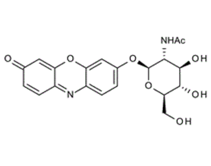 4-Nitrophenyl2-Acetamido-2-deoxy-4-O-|A-L-fucopyranosyl)-|A-D-glucopyranoside