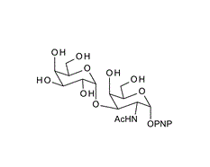 N-[(2R,3R,4R,5R,6R)-5-Hydroxy-6-(hydroxymethyl)-2-(4-nitrophenoxy)-4-[(2S,3R,4S,5R,6R)-3,4,5-trihydroxy-6-(hydroxymethyl)oxan-2-yl]oxyoxan-3-yl]acetamide