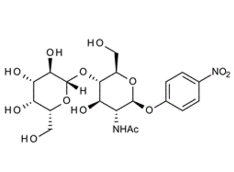 p-Nitrophenyl2-Acetamido-2-deoxy-4-O-(beta-D-galactopyranosyl)-beta-D-glucopyranoside