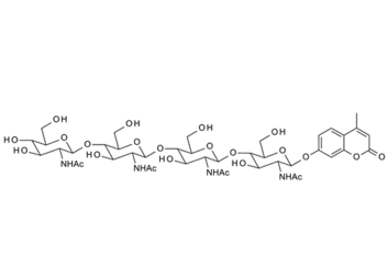 4-MethylumbelliferylN,N',N'',N'''-tetraacetyl-b-D-chitotetraoside