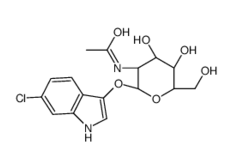 N-[(2S,3R,4R,5R,6R)-2-[(6-CHLORO-1H-INDOL-3-YL)OXY]-4,5-DIHYDROXY-6-(HYDROXYMETHYL)OXAN-3-YL]ACETAMIDE