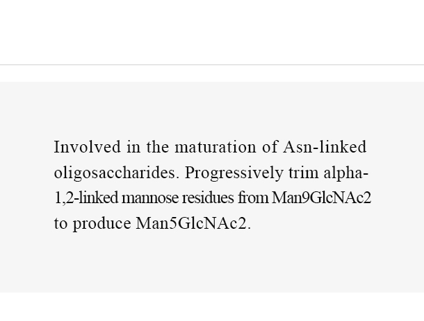 MAN1A1