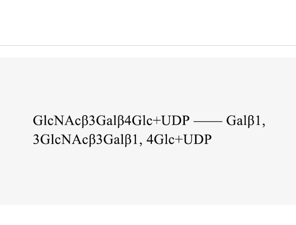 β1,3-galactosyltransferase (Cvβ3GalT)