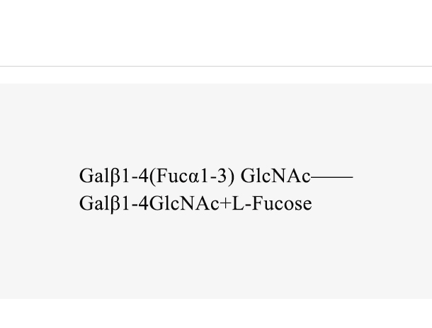 β1,3-galactosyltransferase (Pfβ3GalT)