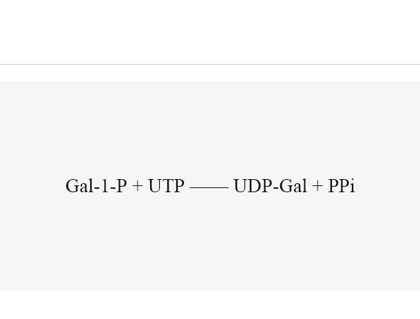 UDP-sugar pyrophosphorylase (AtUSP)