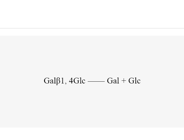 β - Galactosidase (EcLacZ)