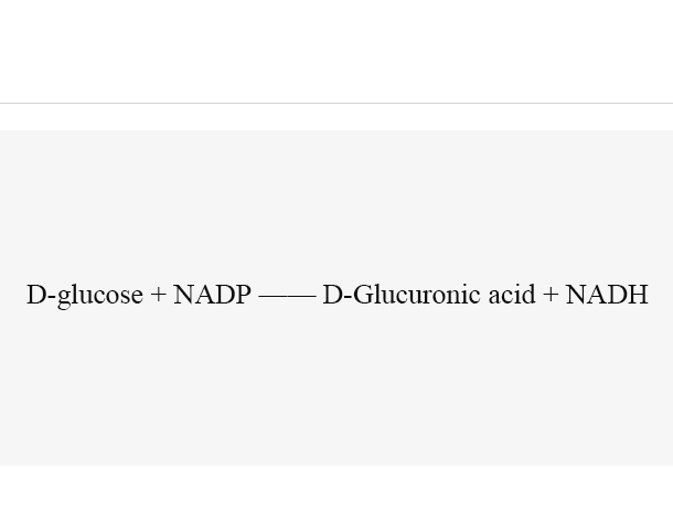 Glucose dehydrogenase (BsGDH)