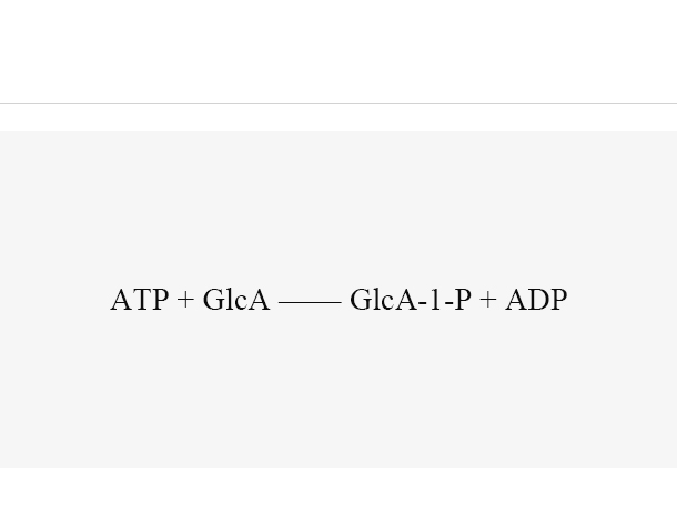 Glucuronokinase (AtGlcAK)