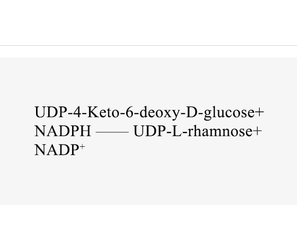 UDP-4-keto-6-deoxy-D-glucose 3,5-epimerase/4-reductase (ApmUGER)