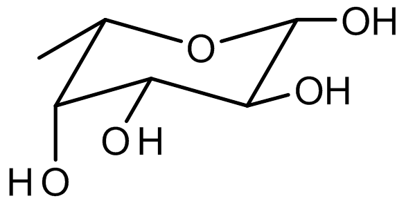 L-Fucose (6-Deoxy-L-galactose)