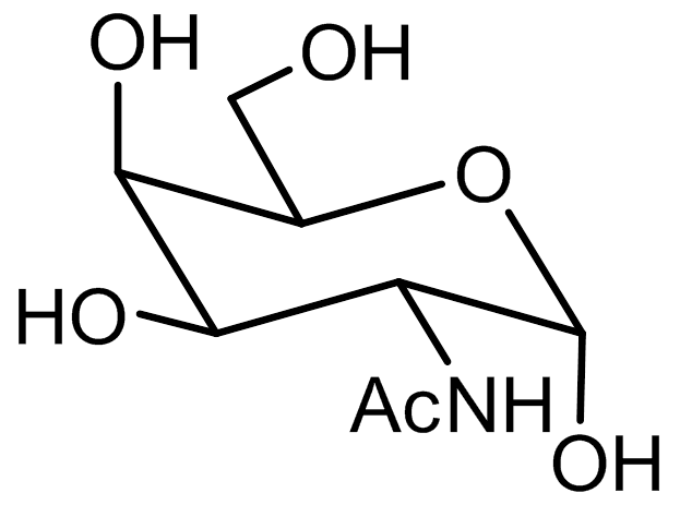 N-Acetyl-D-glucosamine 
 (2-Acetamido-2-deoxy-D-glucose, GlcNAc)