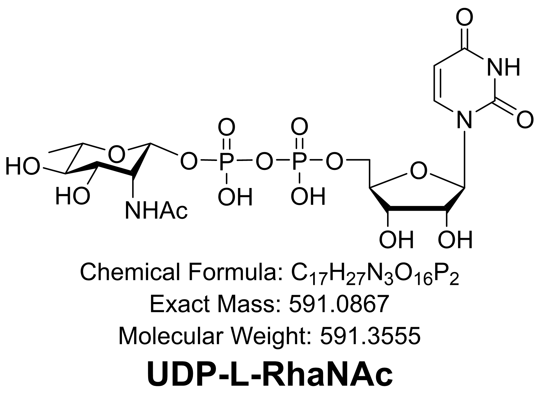 UDP-L-RhaNAc