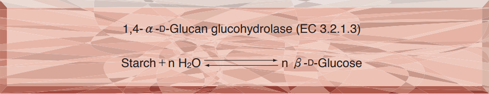 GLUCOAMYLASE from Rhizopus sp.