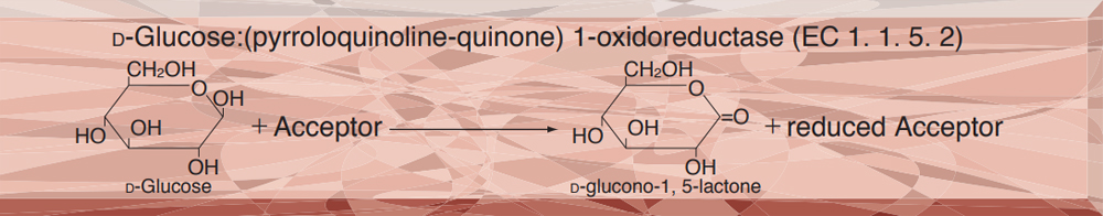 GLUCOSE DEHYDROGENASE (PQQ-dependent) from Microorganism