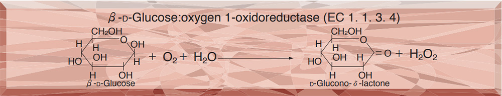 GLUCOSE OXIDASE from Aspergillus sp.