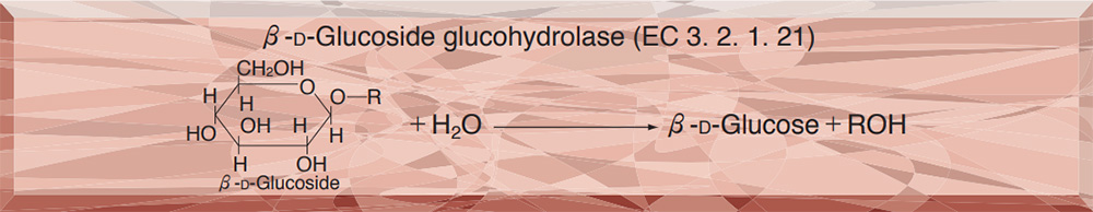 β-GLUCOSIDASE from Sweet almond