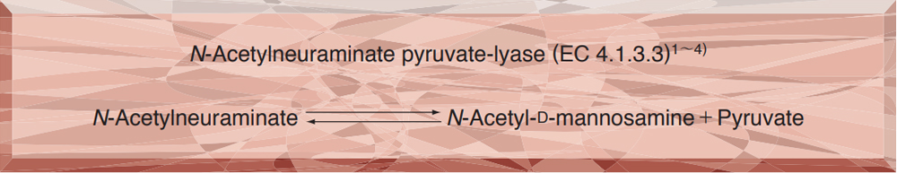 N-ACETYLNEURAMINIC ACID ALDOLASE from Microorganism